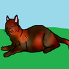 :#